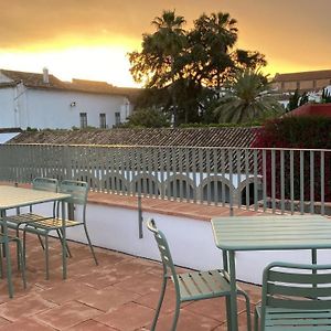 Patio Del Lino