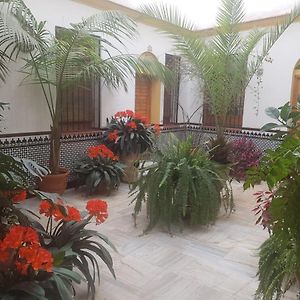 Casa Tipica Cordobesa