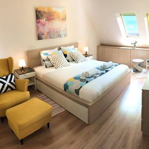 Unique Luxurious Jacuzzi PENTHOUSE DUPLEX in City Center! 2 BATHS! FREE PARKING!