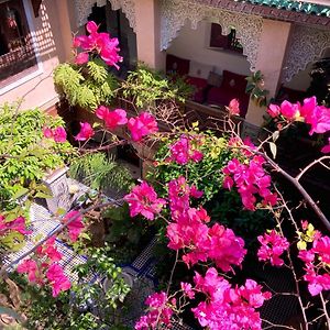 Riad Toyour- Riad Of Birds