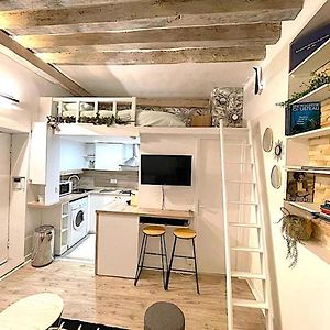 Loft du Quai des Grands Augustins