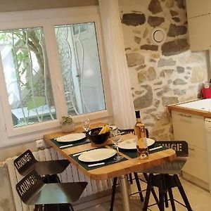LE COSY Joli F2 proche gare, Arénes avec terrasse privée