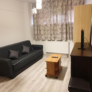 Grozavesti Apartment Near University