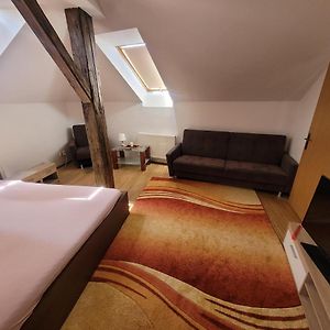Apartments Zizkov B