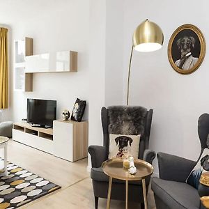 Apartment In Brussels, Degroux By Homenhancement Sa