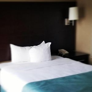 Chambre Standarde Lit King-Size