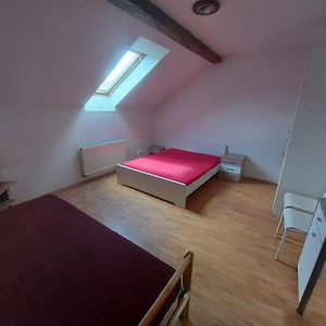 Apartments Zizkov A