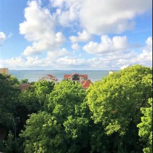 Appartement vue sur baie et océan, 100 m de la plage et du centre par chemin privé