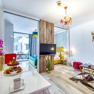 Royal Luxuria Modern Studio