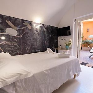 Studio Lit King-Size