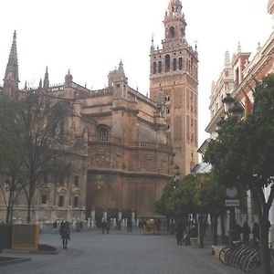 Apartamentos Quintero