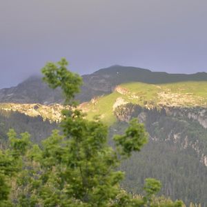 Domaine Du Grand Tetras Samoens