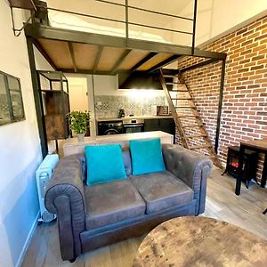 Cocooning & Modern Duplex City Center Carabacel