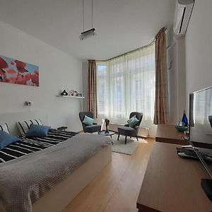 Central Belvedere Apartman