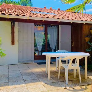  La Palmeraie   Villa résidentielle avec piscine