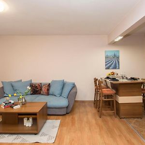 Appartement Supérieur à 1 Chambre à Coucher