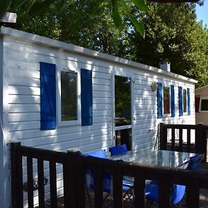 mobil-home sur terrain bucolique