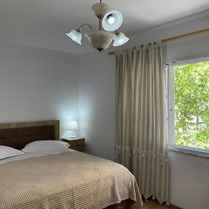 Lovely One-Bedroom Apartment With Private Entrance