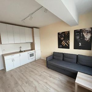 Appartement à 1 Chambre à Coucher