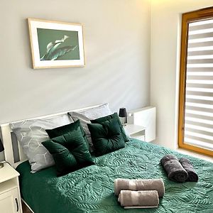 Modern Green Apartment