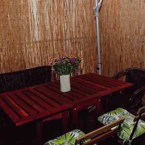 Ruhiges Terrassen Apartment