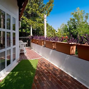 Salicula Art Gallery