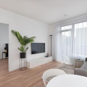 Brand New And Modern 1Bdr Apartment