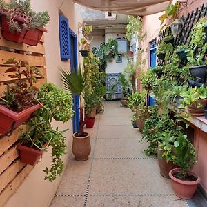 Studio Dar Rmila