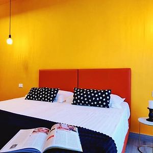 Chambre Standarde