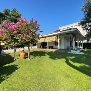 Vitti'S Home Verona