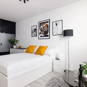 Studio Lit Queen-Size