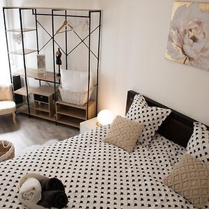 Le COSY Toulouse 3 min de la Gare à pieds Parking gratuit calme