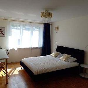 Studio Lit King-Size