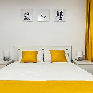 Rsa Apartment - Comfort Near City Centre