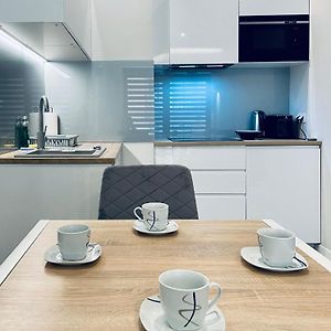 Modern Silver Apartment