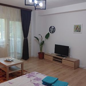 Studio