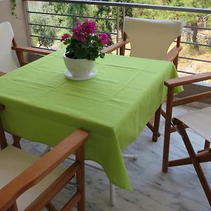 Modern Apartment Near Acropolis Peaceful Location.