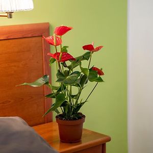 Chambre Grande