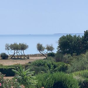 Sea Oceane