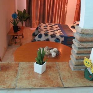 Appartement Studio