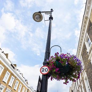 Pimlico Hub