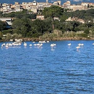 Luxe et Confort à Porto-Vecchio