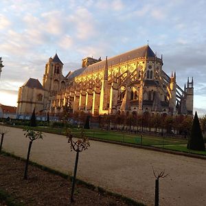 Le jardin d'Anatole