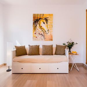Studio Lit King-Size