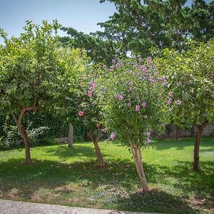 Piso Con Jardin