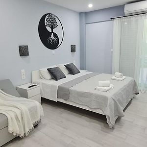 Cozy Apartment With Garden Near Town Center, Fully Renovated.