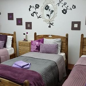 Turkish Style Hostel