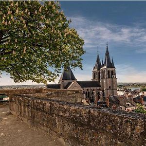 Appartement cœur de Blois /heart of the city