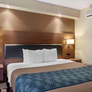 Chambre Lit King-Size