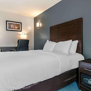 Chambre Standarde Lit Queen-Size